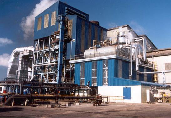 Typical Bagasse-Fired Watertube Boiler